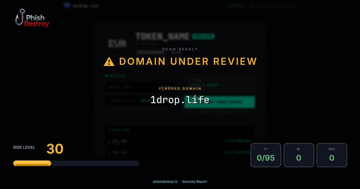 1drop.life phishing report — threat analysis by PhishDestroy