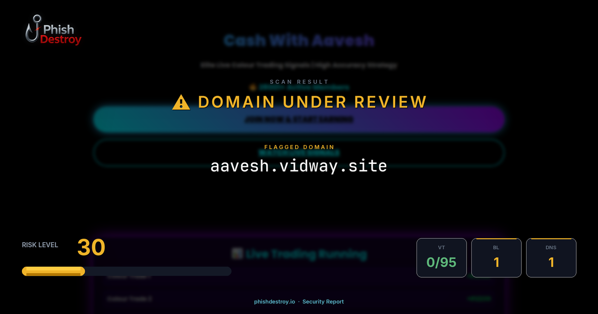 aavesh.vidway.site phishing report — threat analysis by PhishDestroy