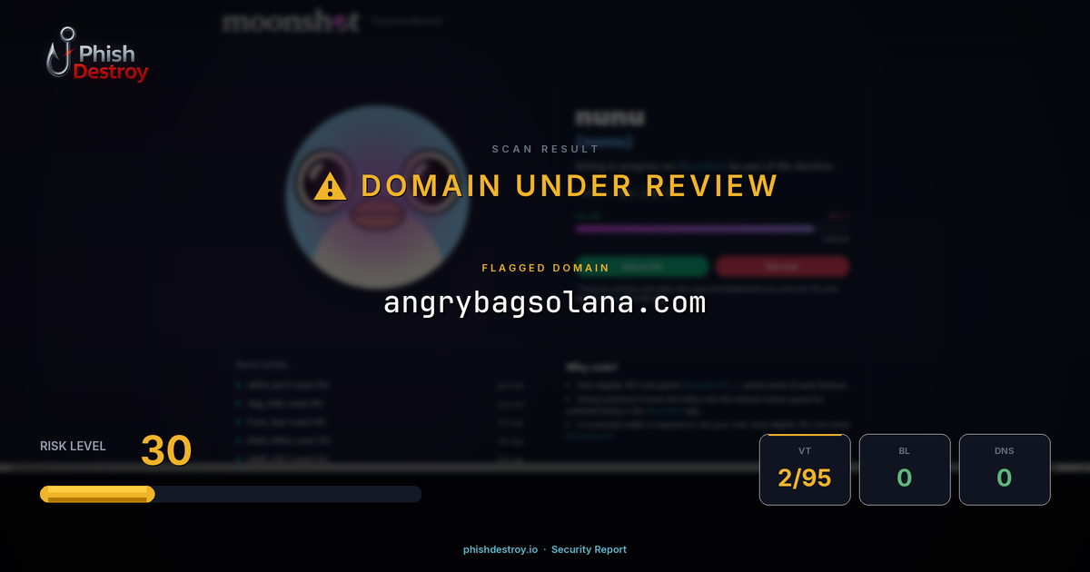 angrybagsolana.com phishing report — threat analysis by PhishDestroy