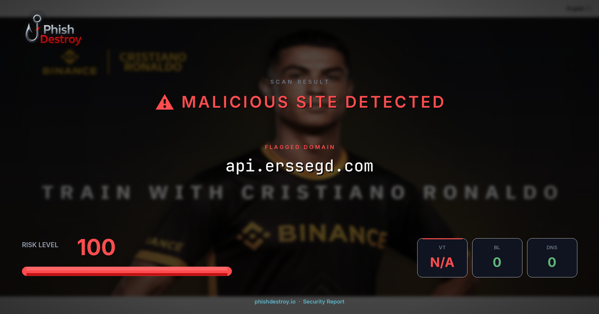 api.erssegd.com phishing report — threat analysis by PhishDestroy