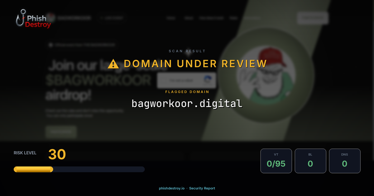 bagworkoor.digital phishing report — threat analysis by PhishDestroy