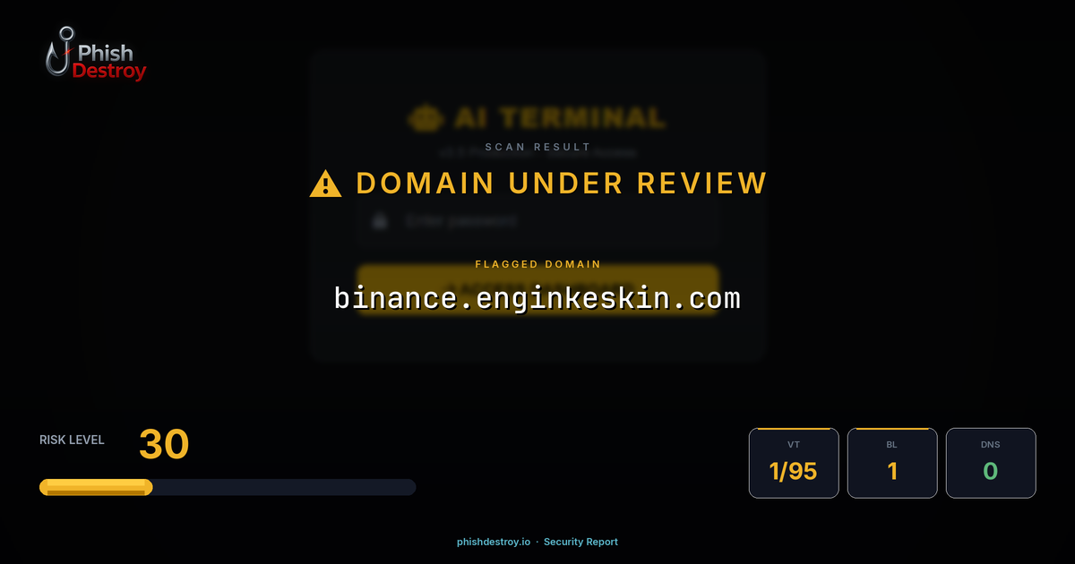 binance.enginkeskin.com phishing report — threat analysis by PhishDestroy