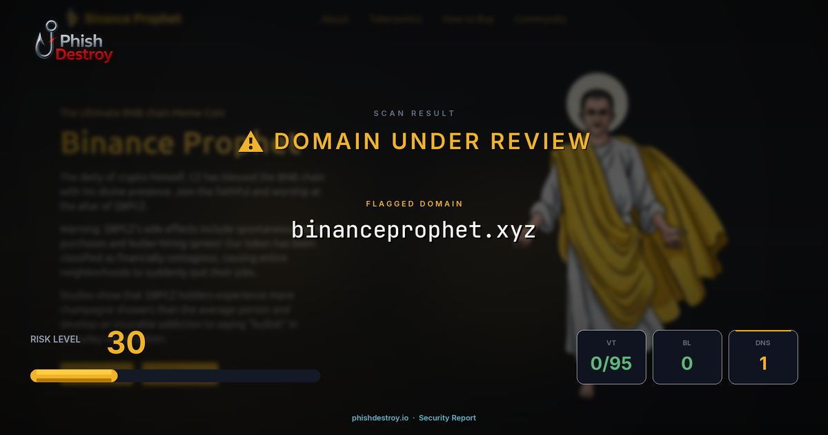 binanceprophet.xyz phishing report — threat analysis by PhishDestroy