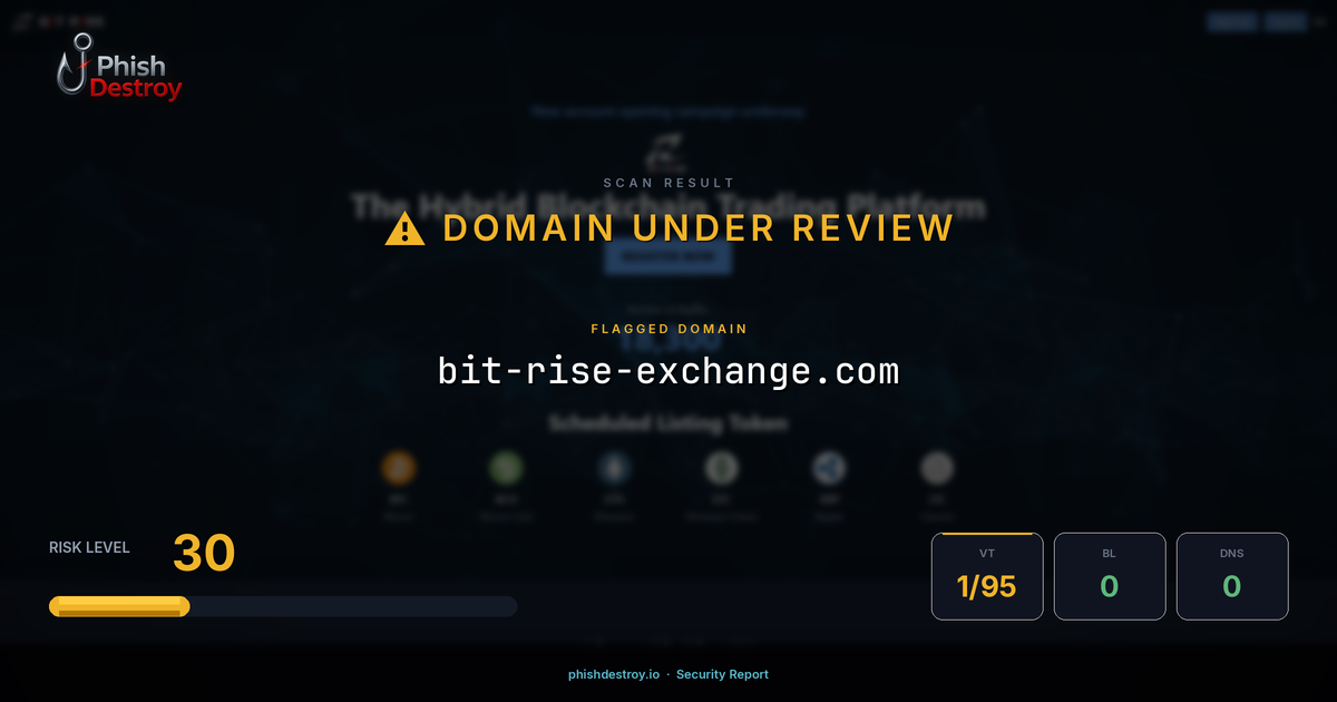 bit-rise-exchange.com phishing report — threat analysis by PhishDestroy