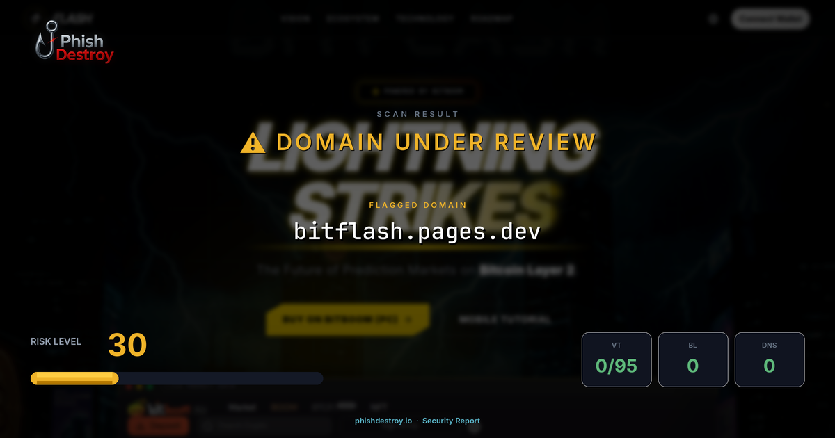 bitflash.pages.dev phishing report — threat analysis by PhishDestroy