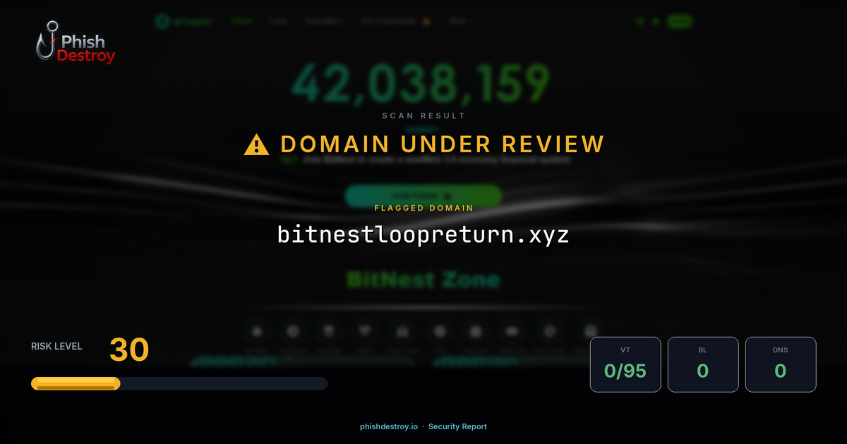 bitnestloopreturn.xyz phishing report — threat analysis by PhishDestroy