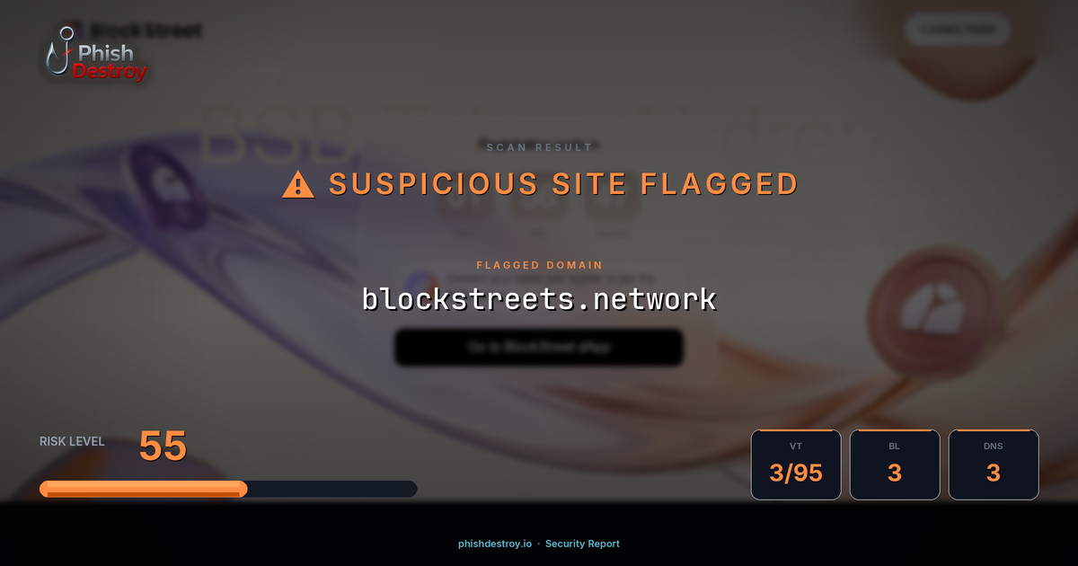 blockstreets.network phishing report — threat analysis by PhishDestroy