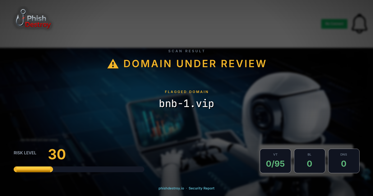 bnb-1.vip phishing report — threat analysis by PhishDestroy
