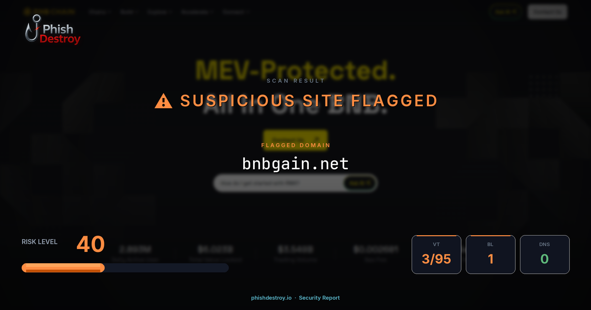 bnbgain.net phishing report — threat analysis by PhishDestroy