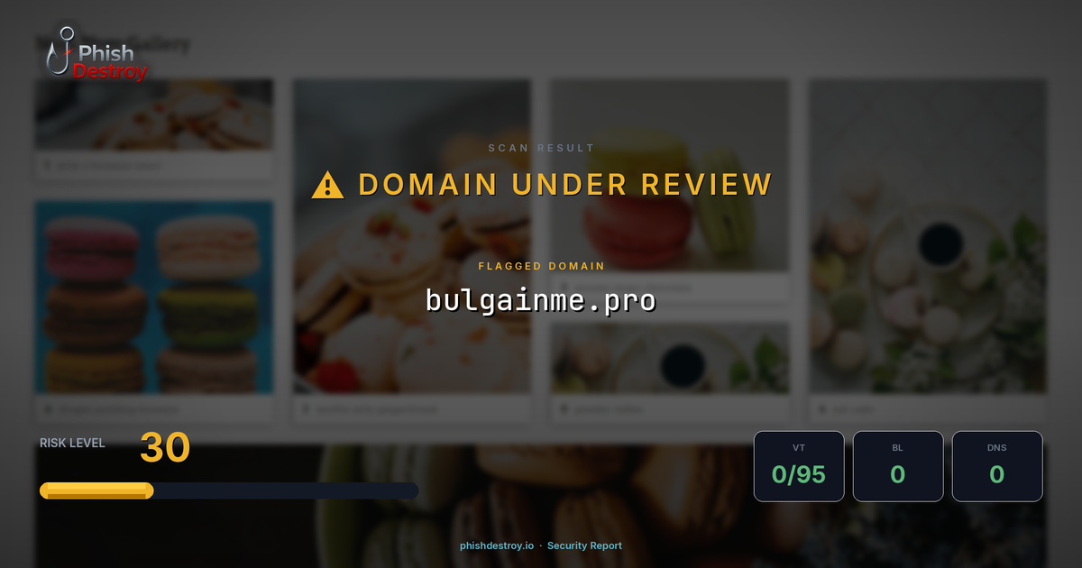 bulgainme.pro phishing report — threat analysis by PhishDestroy