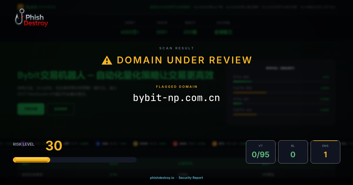 bybit-np.com.cn phishing report — threat analysis by PhishDestroy