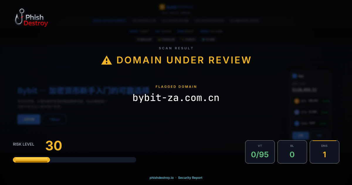 bybit-za.com.cn phishing report — threat analysis by PhishDestroy