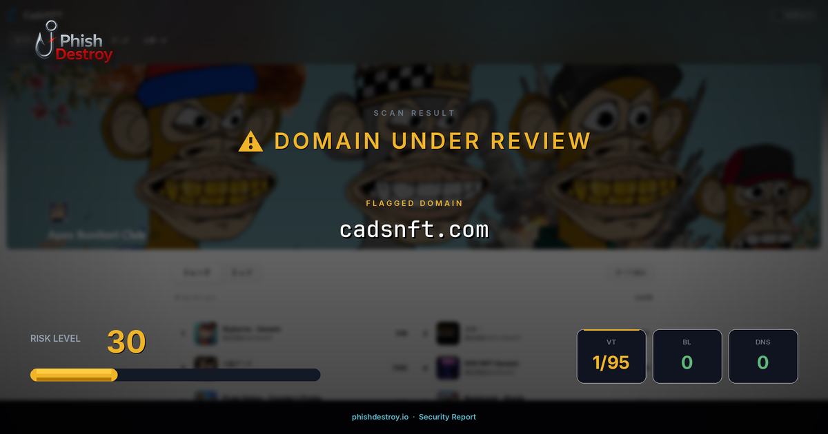 cadsnft.com phishing report — threat analysis by PhishDestroy