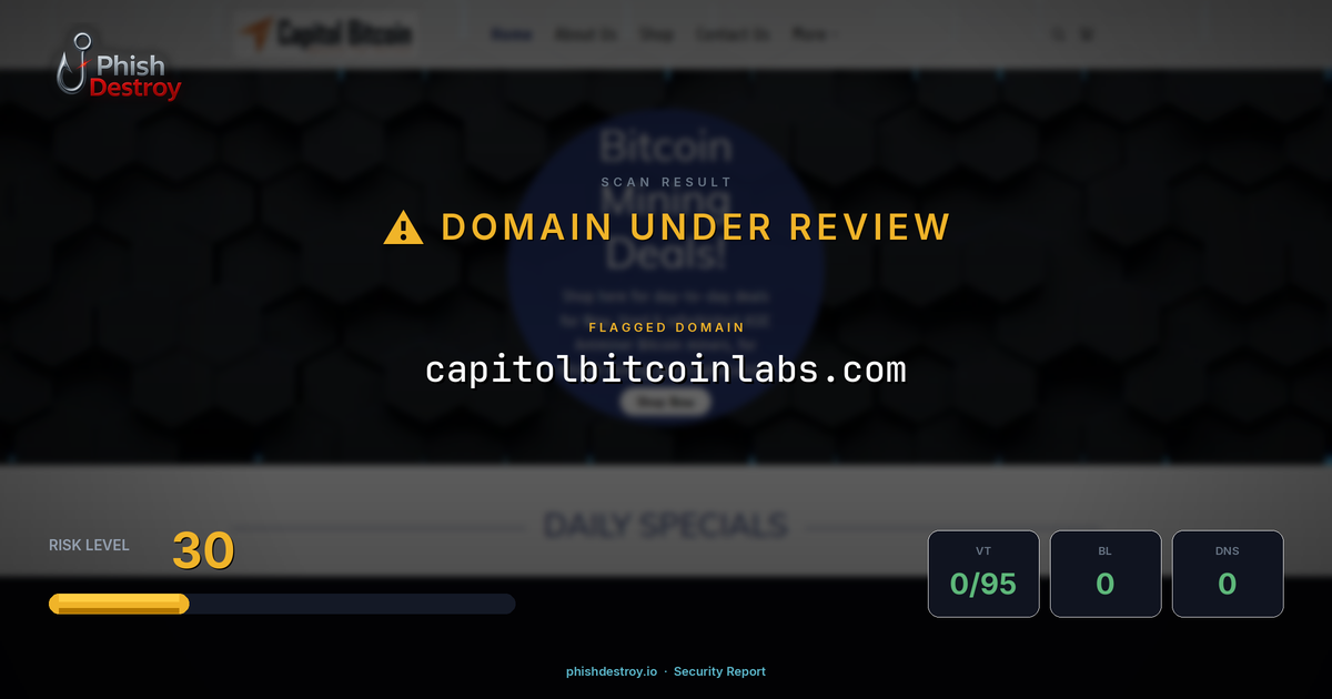 capitolbitcoinlabs.com phishing report — threat analysis by PhishDestroy