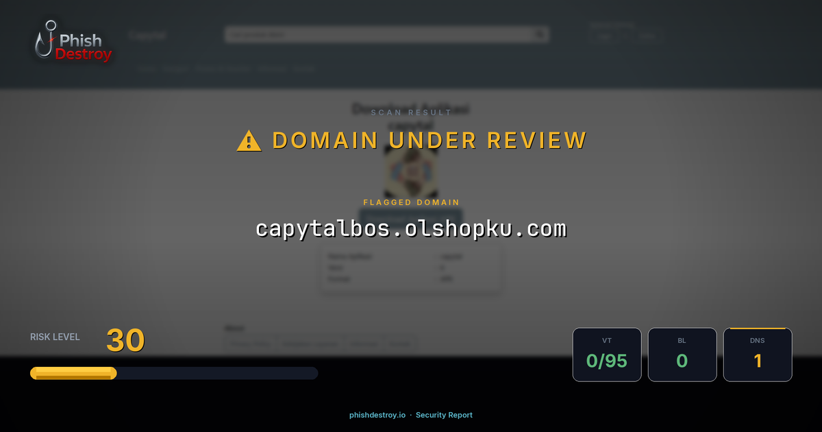 capytalbos.olshopku.com phishing report — threat analysis by PhishDestroy