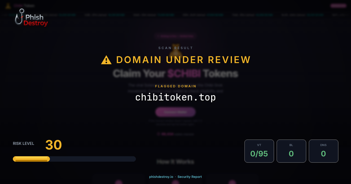 chibitoken.top phishing report — threat analysis by PhishDestroy