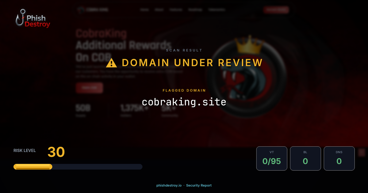 cobraking.site phishing report — threat analysis by PhishDestroy