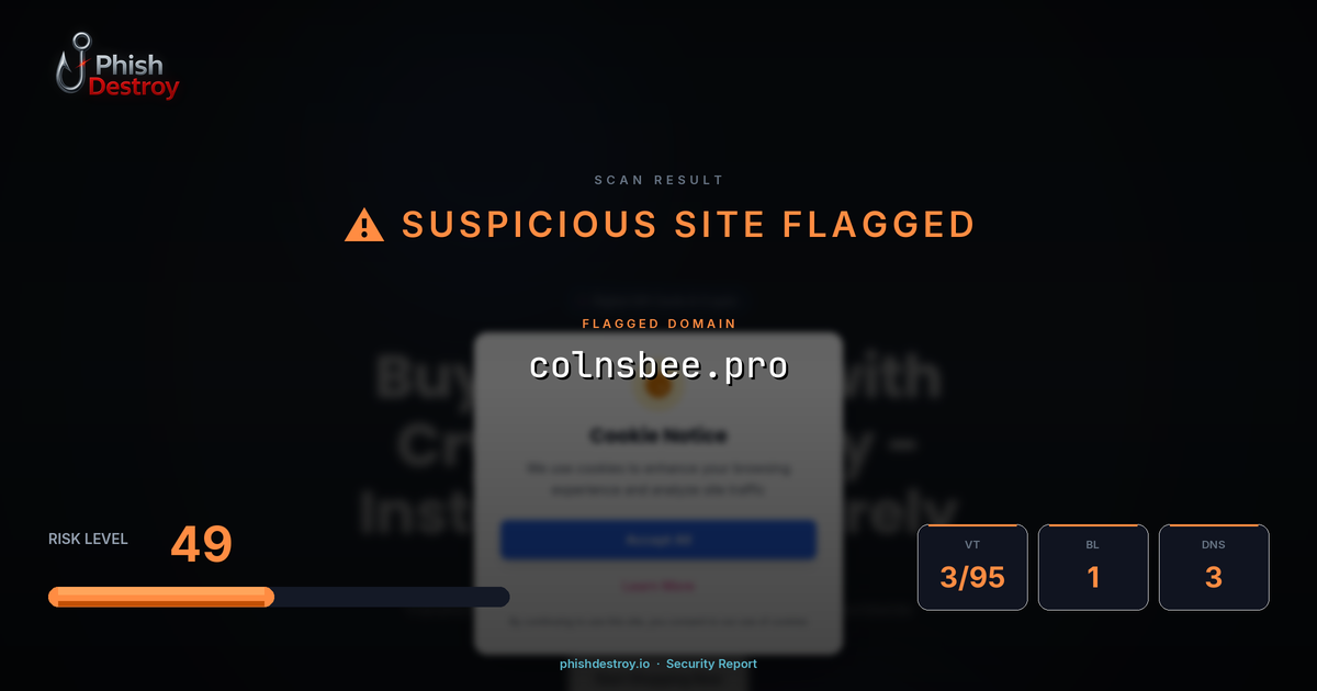 colnsbee.pro phishing report — threat analysis by PhishDestroy