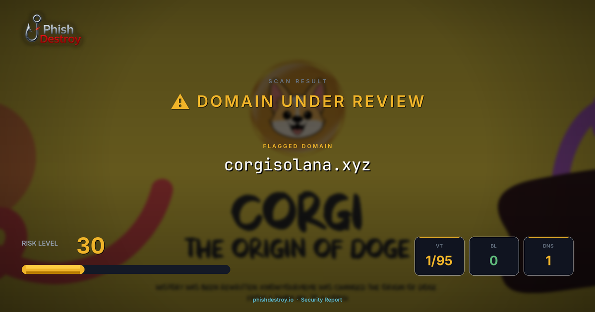 corgisolana.xyz phishing report — threat analysis by PhishDestroy