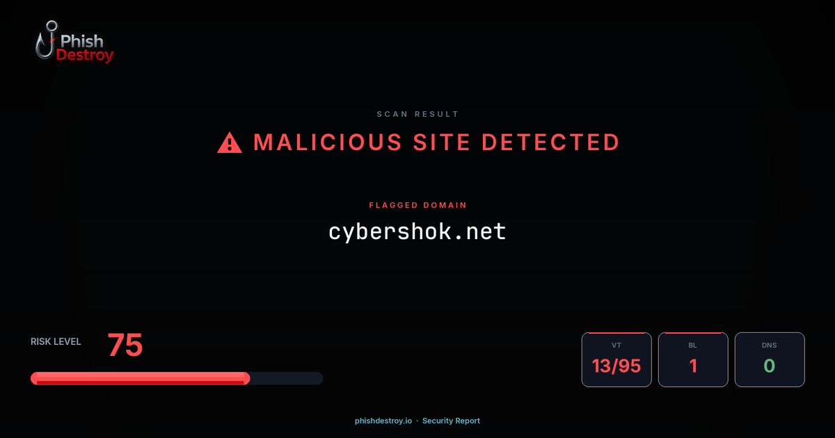 cybershok.net phishing report — threat analysis by PhishDestroy