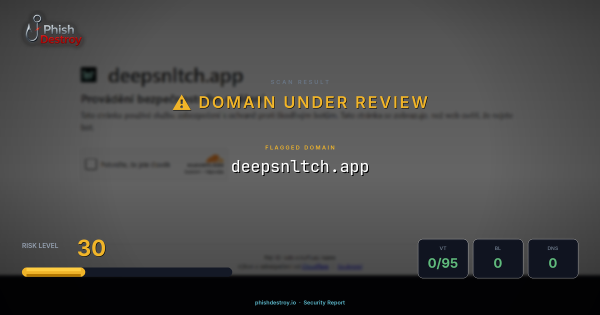 deepsnltch.app phishing report — threat analysis by PhishDestroy
