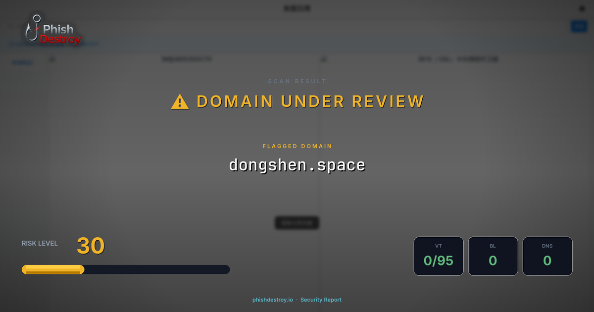 dongshen.space phishing report — threat analysis by PhishDestroy