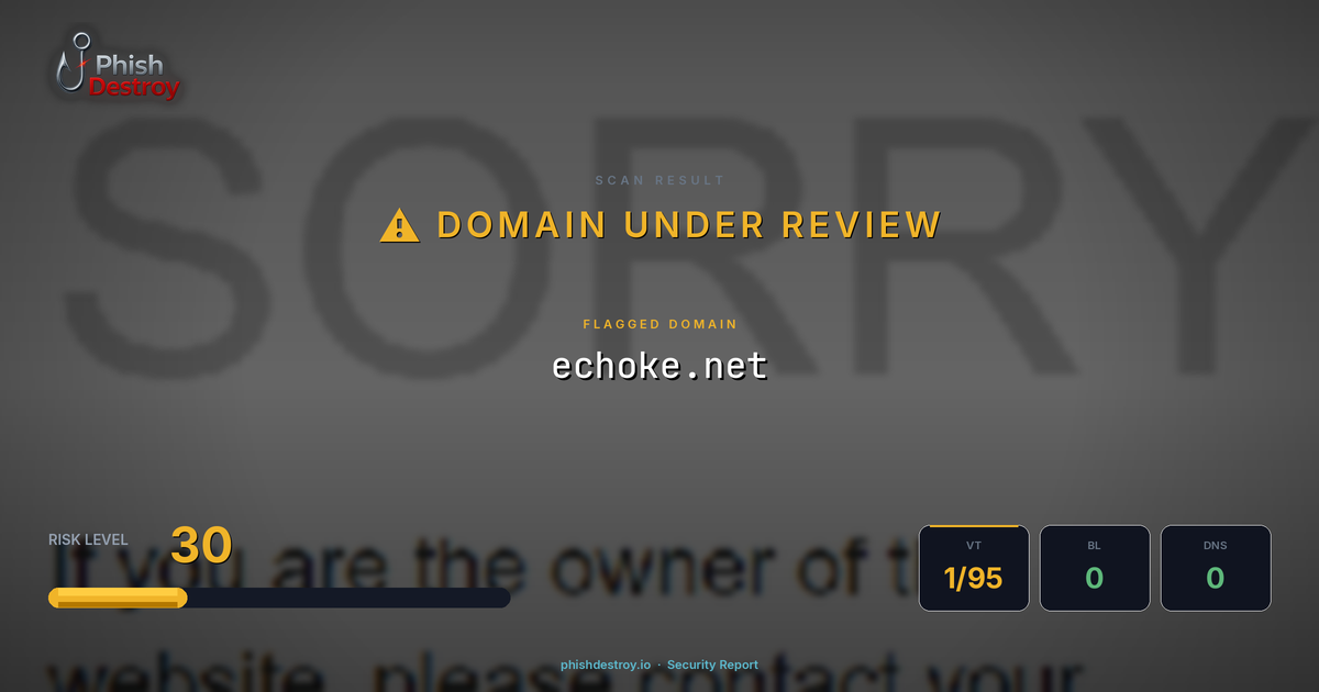echoke.net phishing report — threat analysis by PhishDestroy