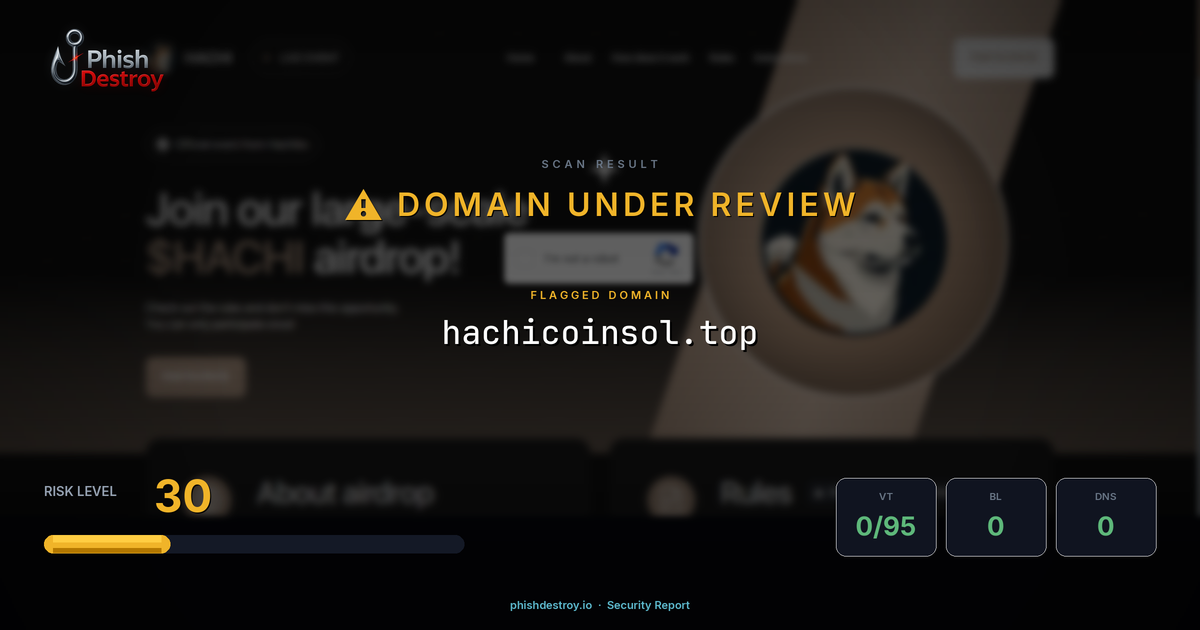 hachicoinsol.top phishing report — threat analysis by PhishDestroy