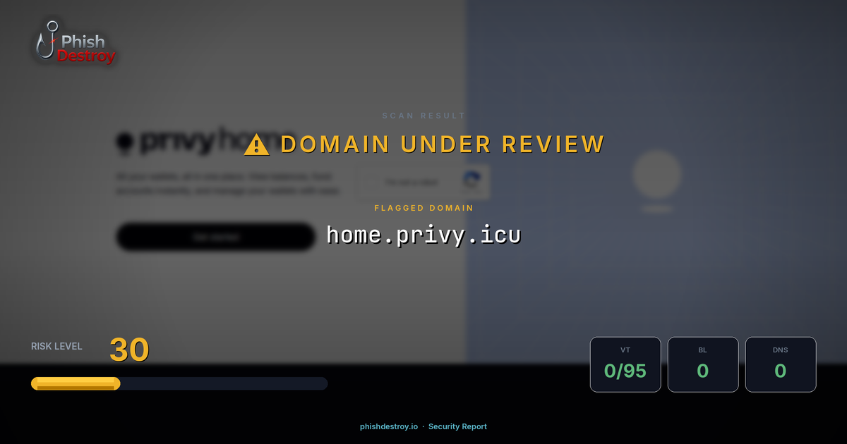 home.privy.icu phishing report — threat analysis by PhishDestroy