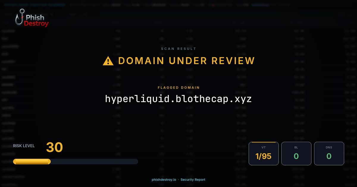 hyperliquid.blothecap.xyz phishing report — threat analysis by PhishDestroy