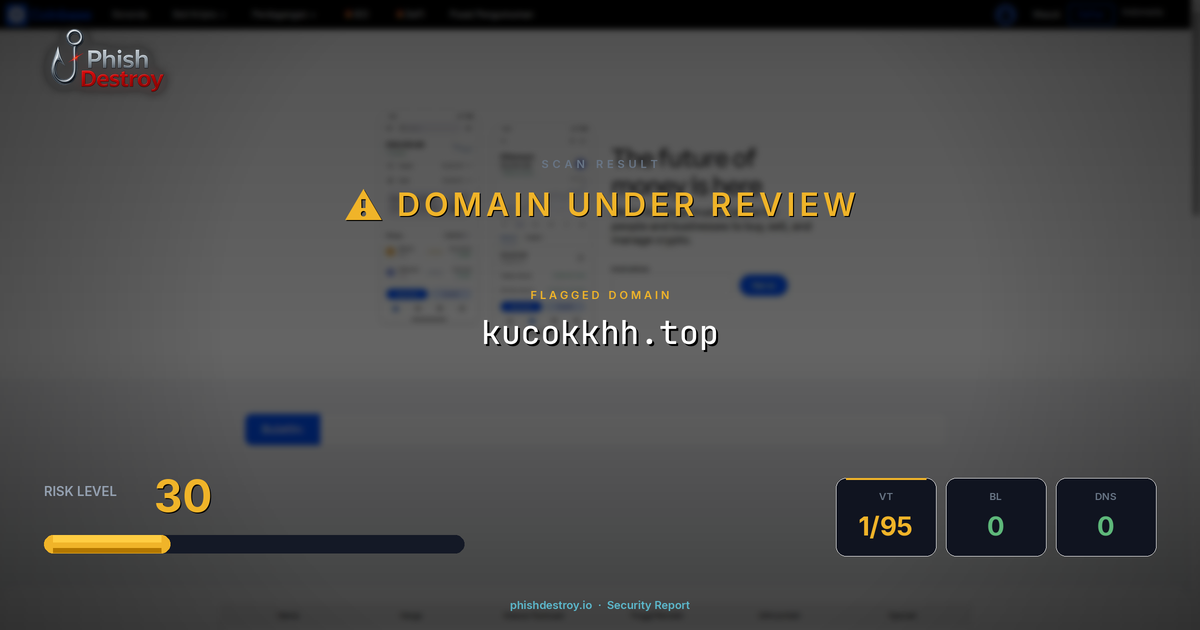 kucokkhh.top phishing report — threat analysis by PhishDestroy