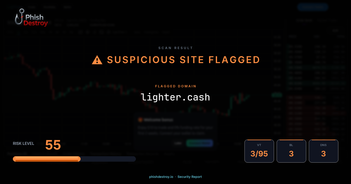 lighter.cash phishing report — threat analysis by PhishDestroy