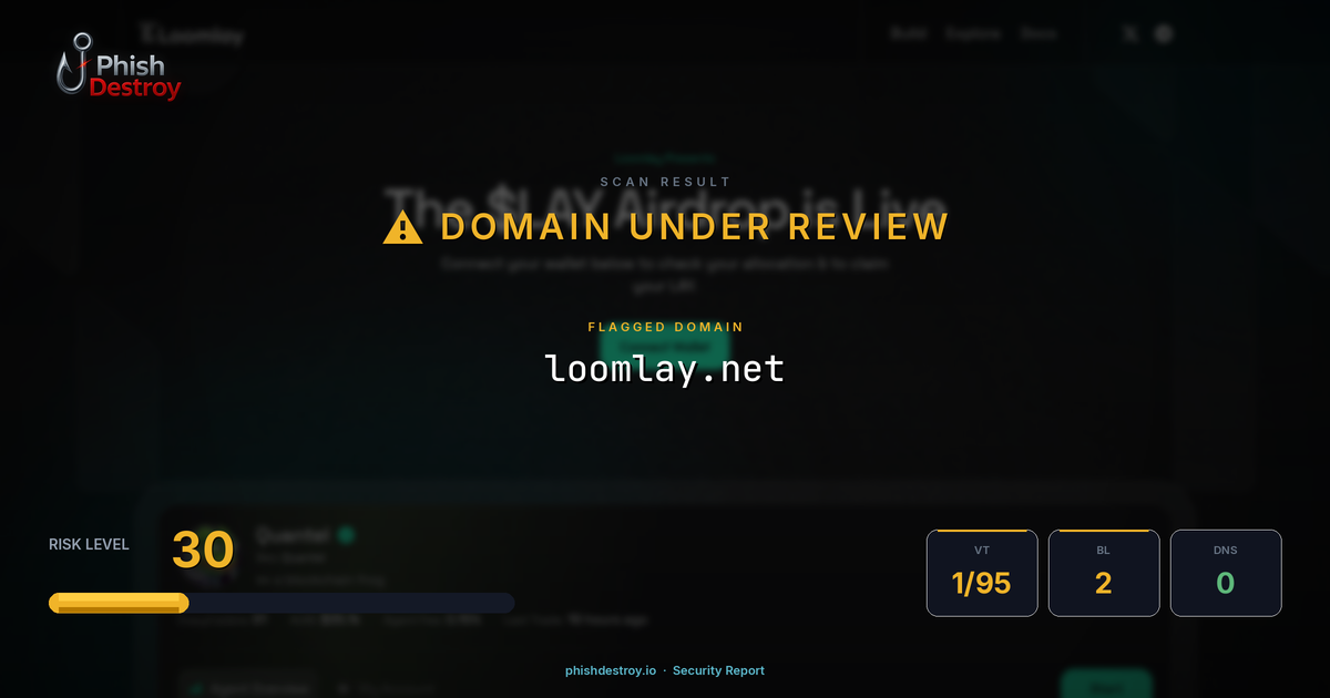 loomlay.net phishing report — threat analysis by PhishDestroy