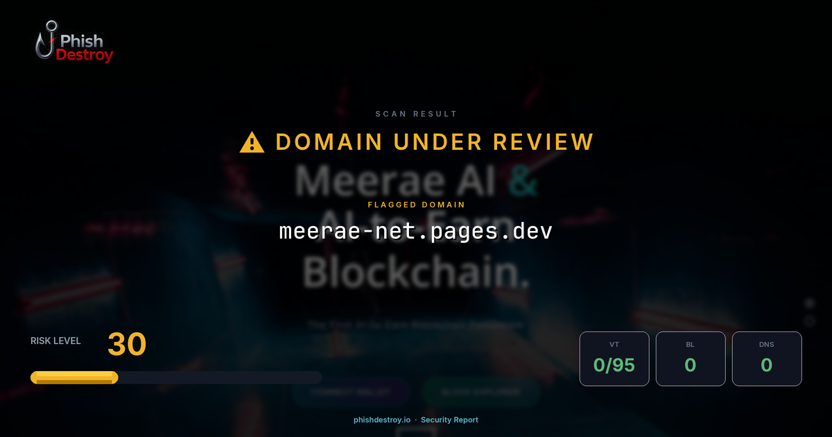 meerae-net.pages.dev phishing report — threat analysis by PhishDestroy