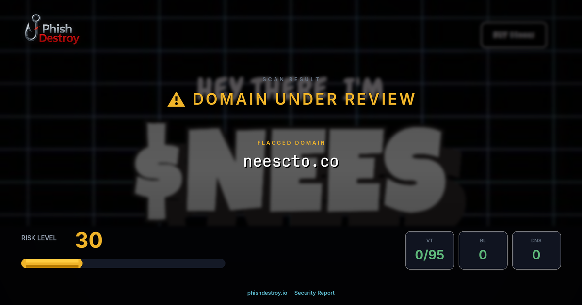 neescto.co phishing report — threat analysis by PhishDestroy