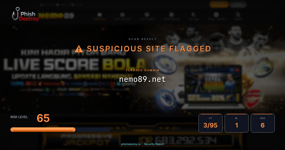 nemo89.net phishing report — threat analysis by PhishDestroy