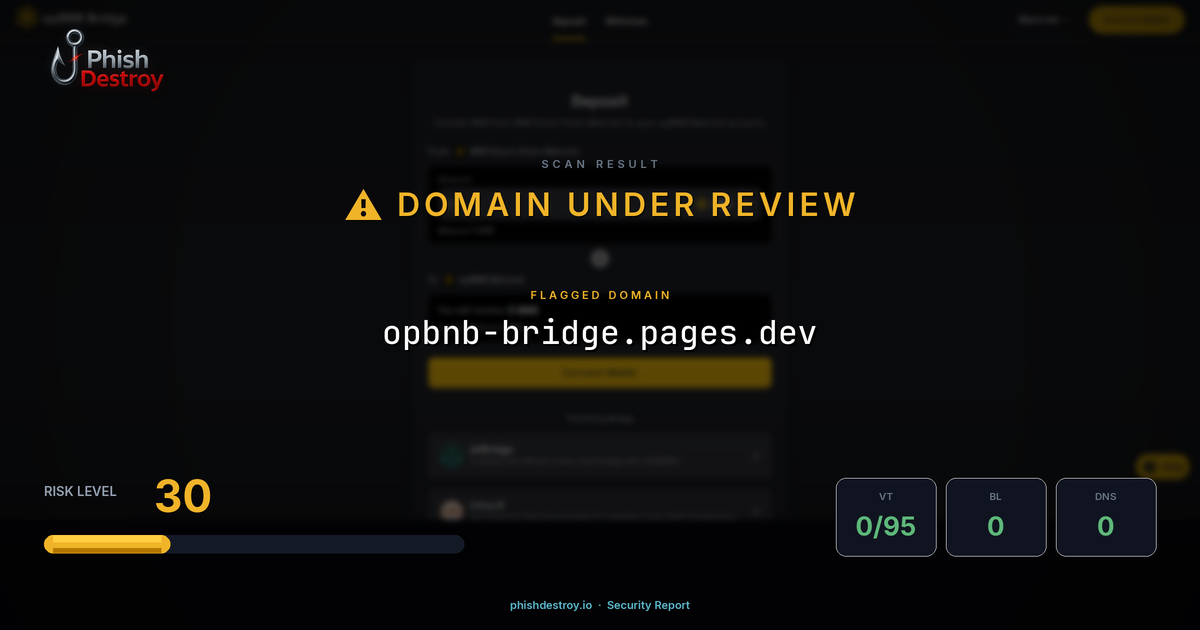 opbnb-bridge.pages.dev phishing report — threat analysis by PhishDestroy