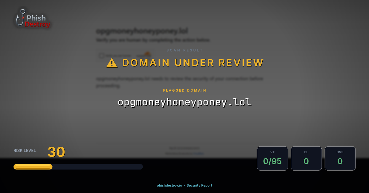 opgmoneyhoneyponey.lol phishing report — threat analysis by PhishDestroy