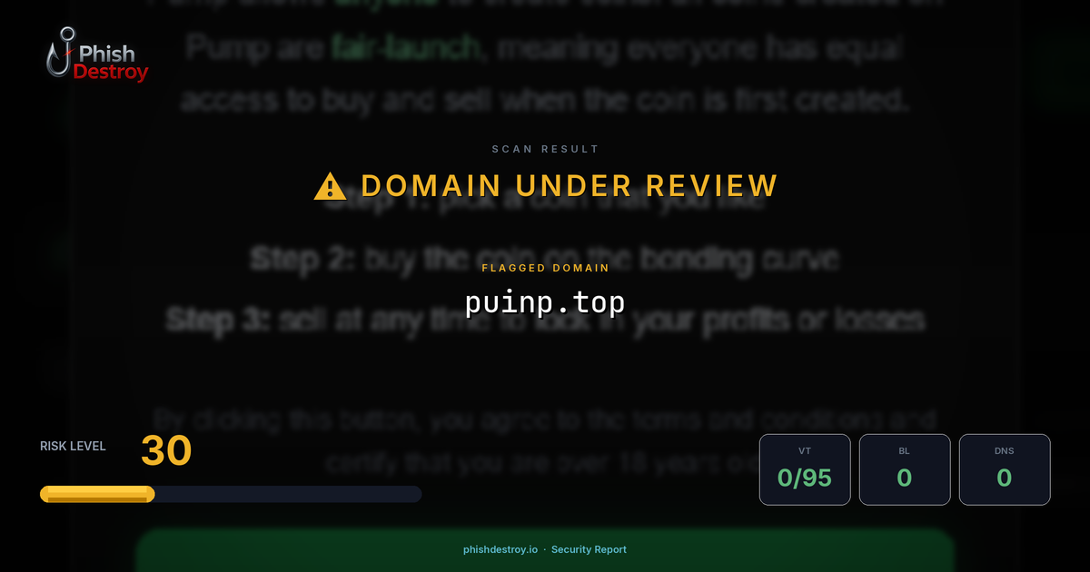 puinp.top phishing report — threat analysis by PhishDestroy