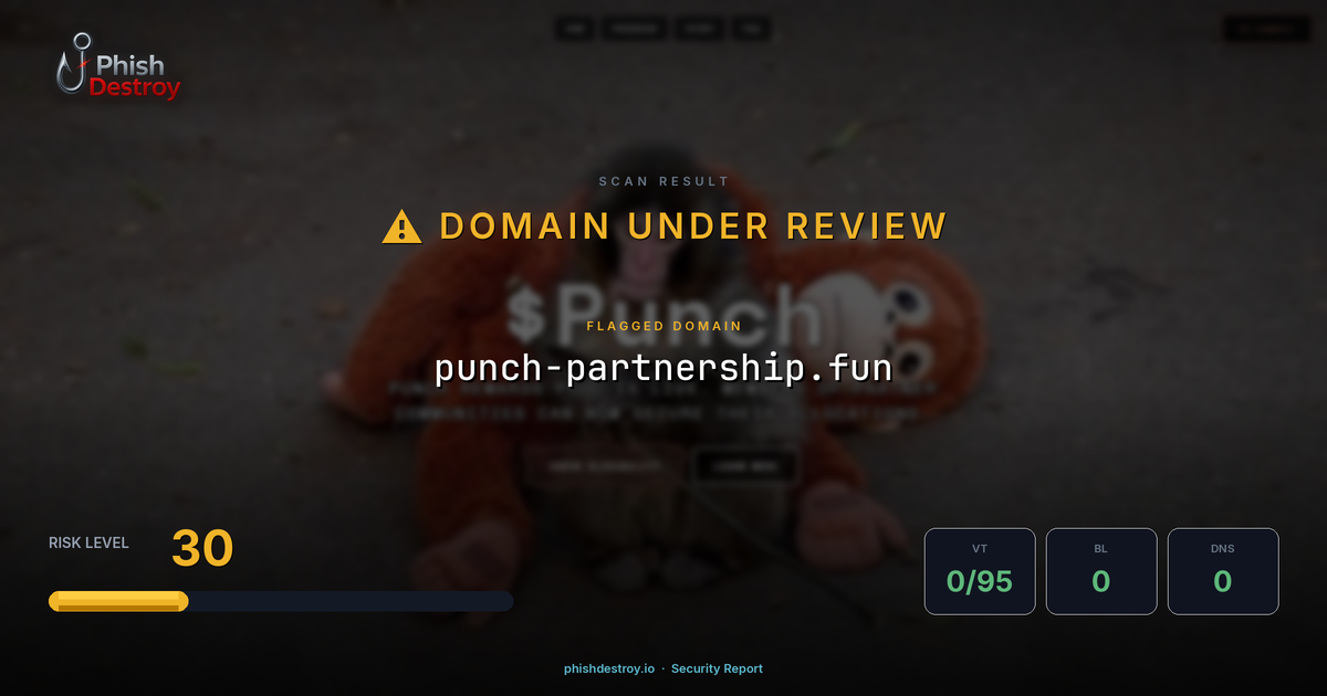 punch-partnership.fun phishing report — threat analysis by PhishDestroy