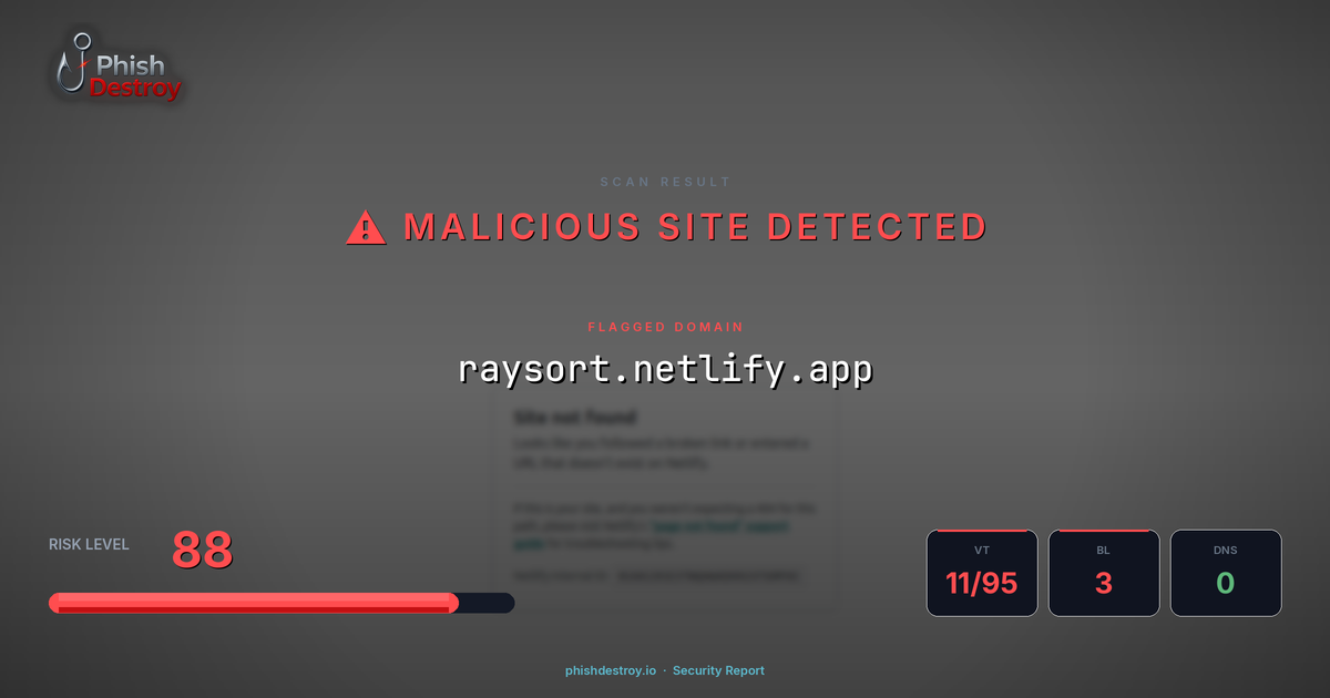 raysort.netlify.app phishing report — threat analysis by PhishDestroy