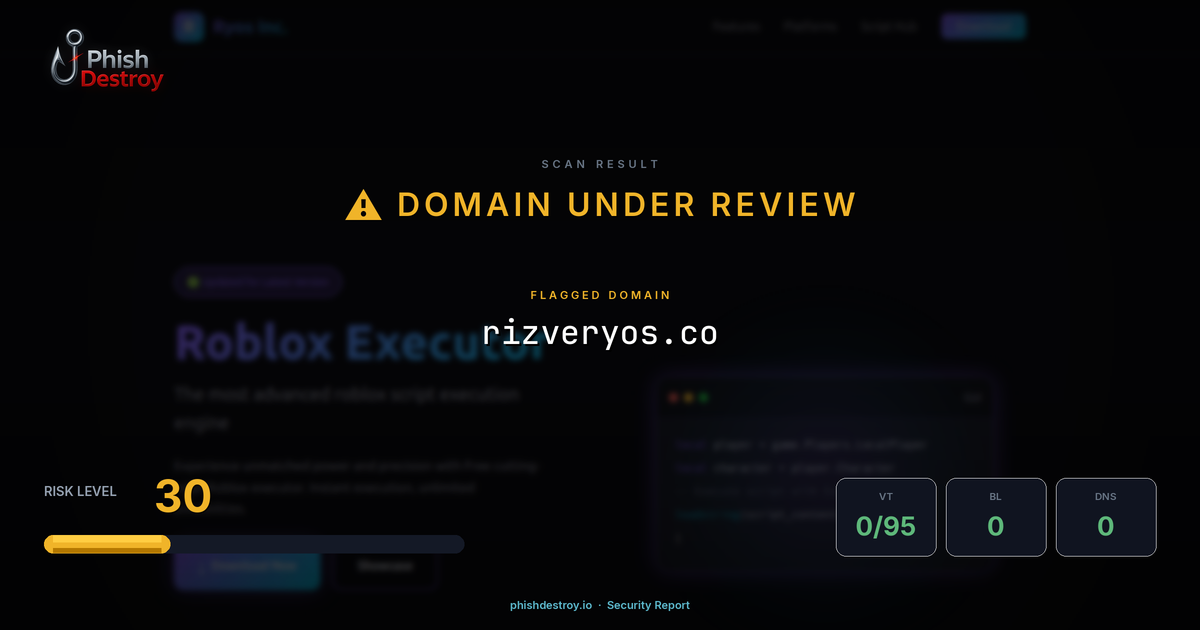 rizveryos.co phishing report — threat analysis by PhishDestroy
