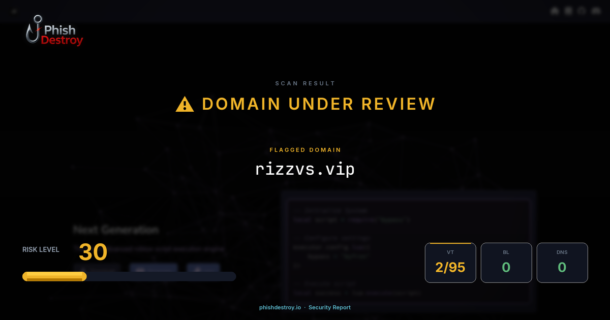 rizzvs.vip phishing report — threat analysis by PhishDestroy