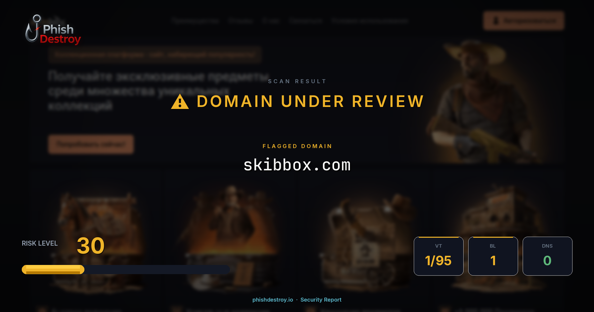 skibbox.com phishing report — threat analysis by PhishDestroy