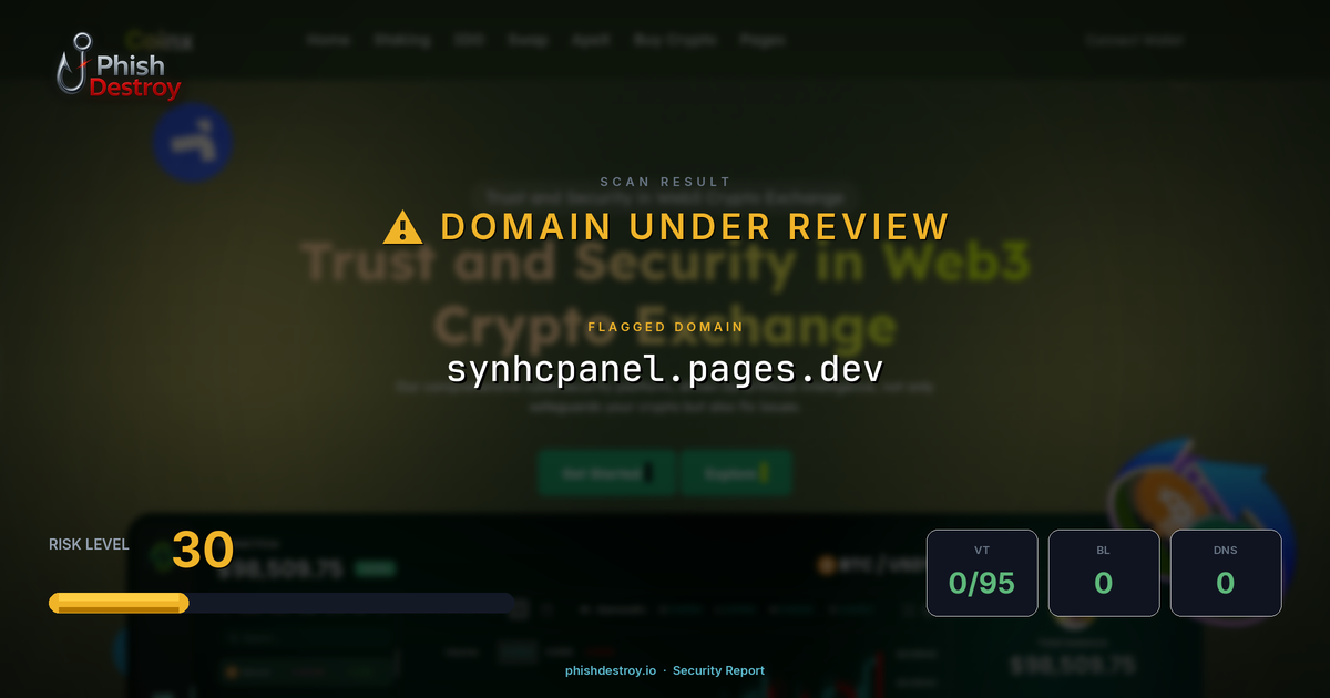 synhcpanel.pages.dev phishing report — threat analysis by PhishDestroy