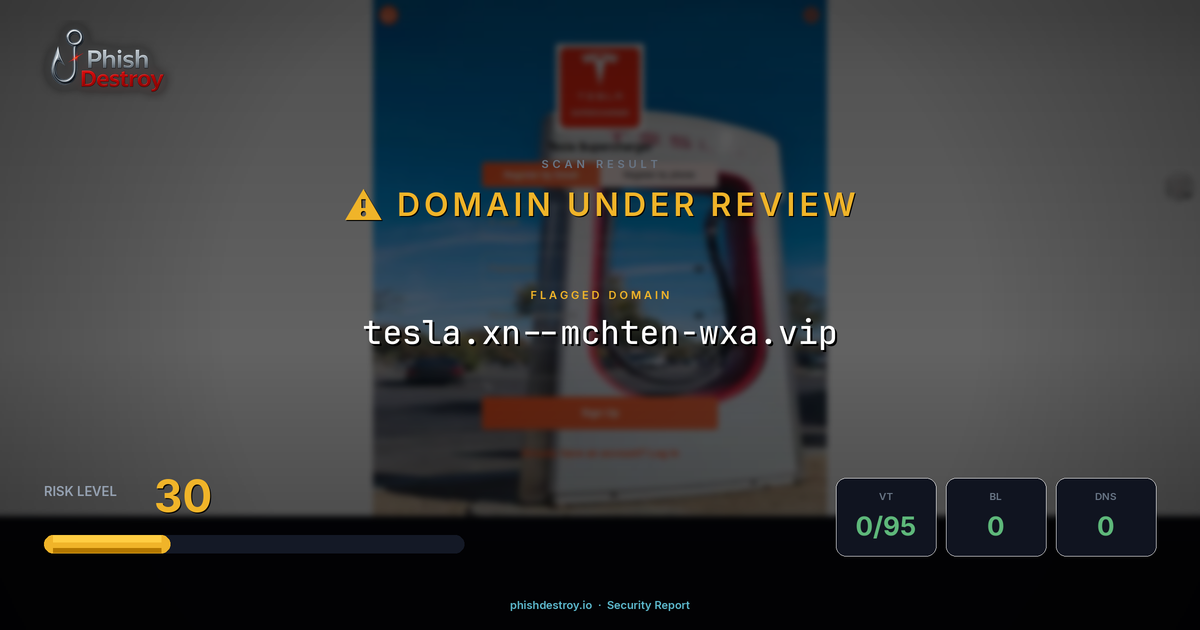tesla.xn--mchten-wxa.vip phishing report — threat analysis by PhishDestroy