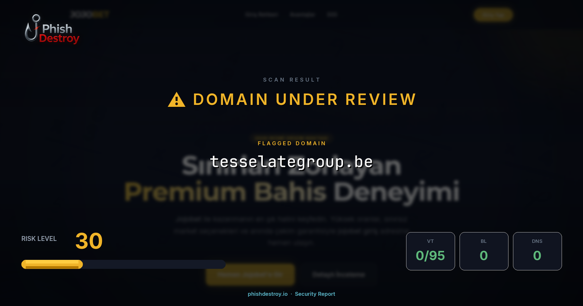 tesselategroup.be phishing report — threat analysis by PhishDestroy