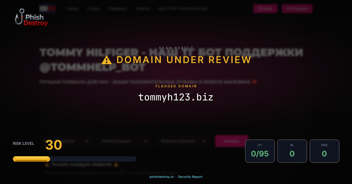 tommyh123.biz phishing report — threat analysis by PhishDestroy