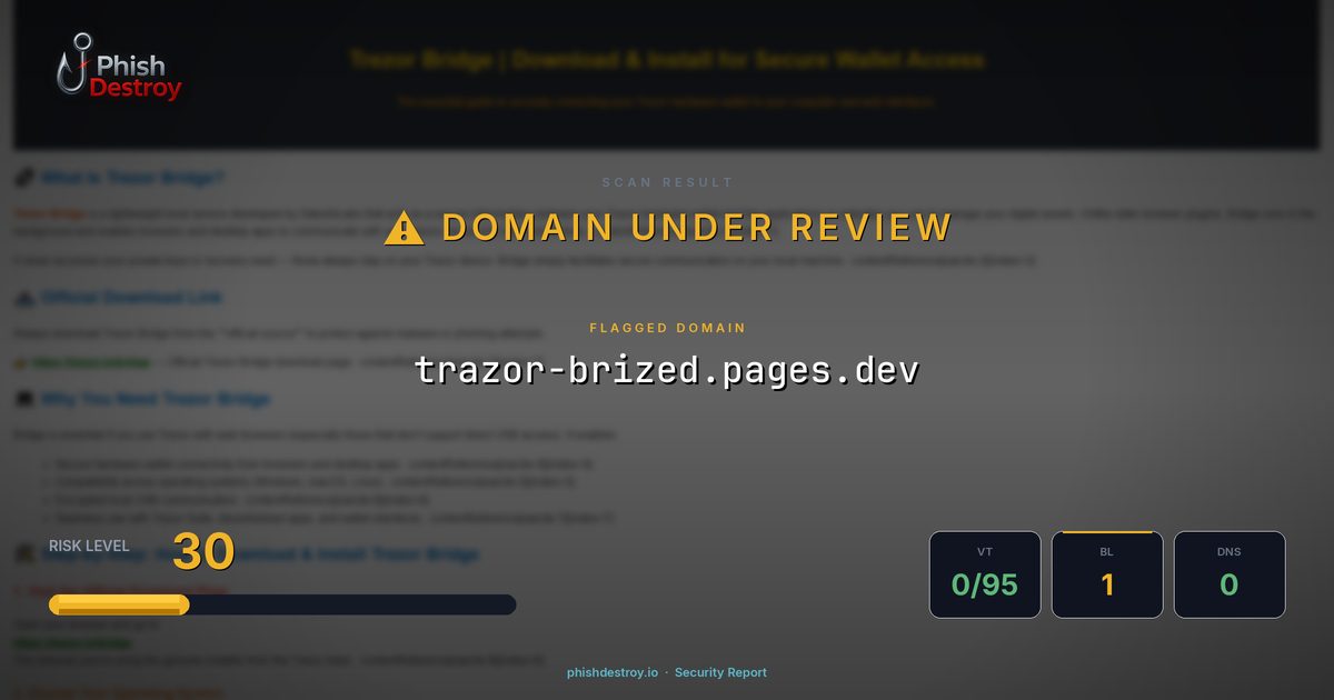 trazor-brized.pages.dev phishing report — threat analysis by PhishDestroy