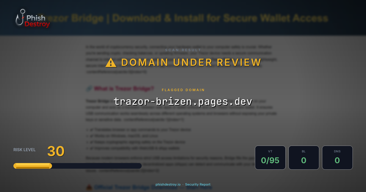 trazor-brizen.pages.dev phishing report — threat analysis by PhishDestroy